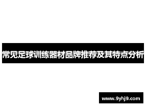 常见足球训练器材品牌推荐及其特点分析