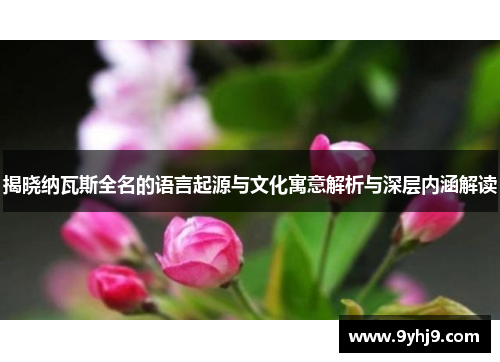 揭晓纳瓦斯全名的语言起源与文化寓意解析与深层内涵解读